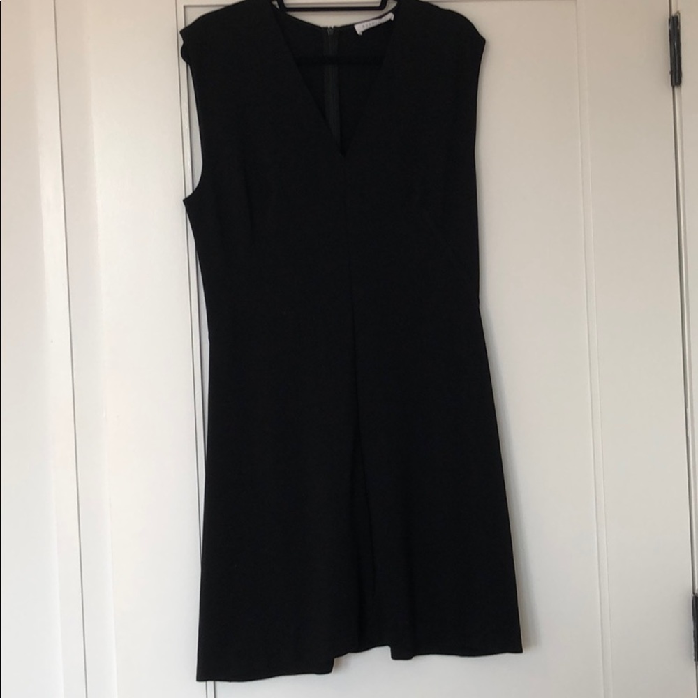 Black Everlane - Sleeveless V-neck Flare Dress